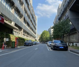 今日回訪做了兩年的透水混凝土項目—柯木塱彩色透水地坪