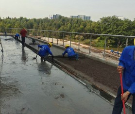 新一期佛山順德彩色透水地坪開工啦~